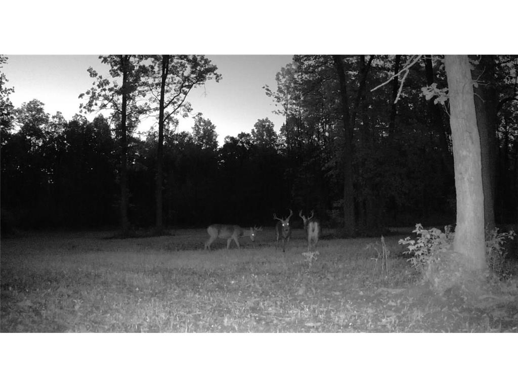 330th street 330th street Onamia MN 56359 6808065 image111