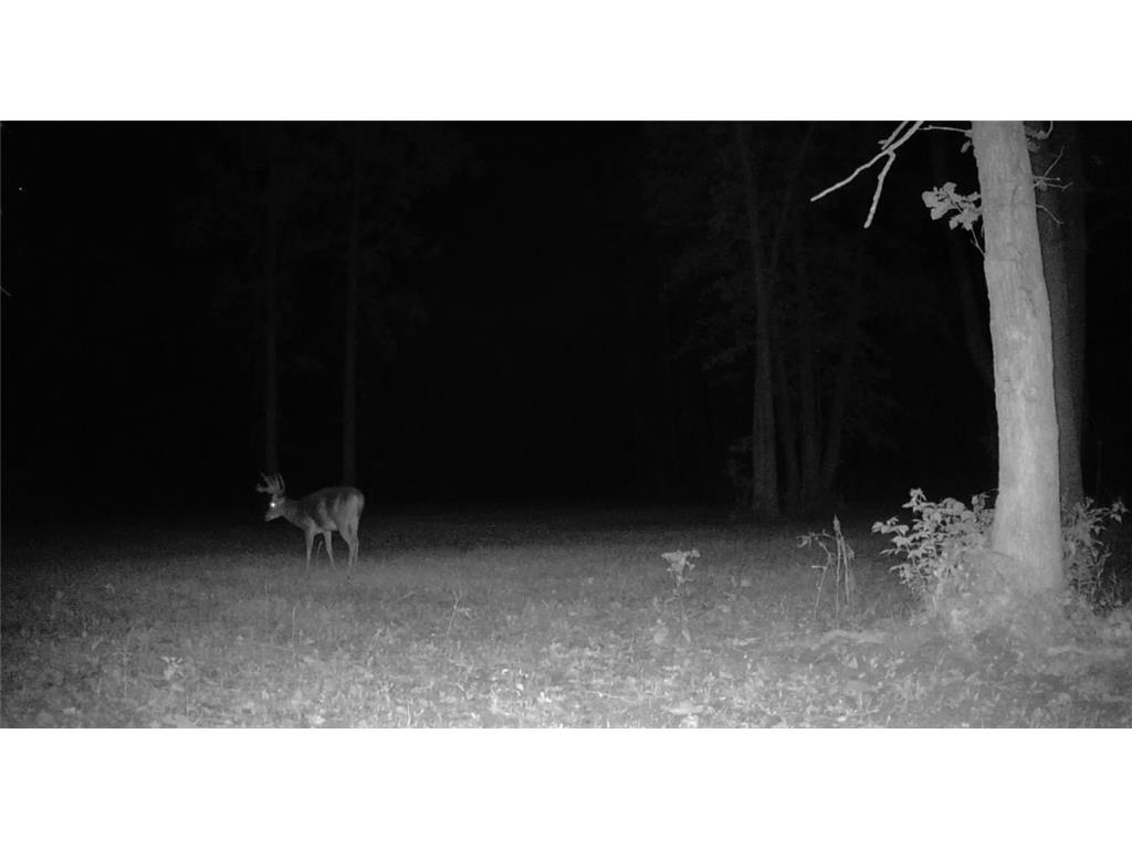 330th street 330th street Onamia MN 56359 6808065 image113