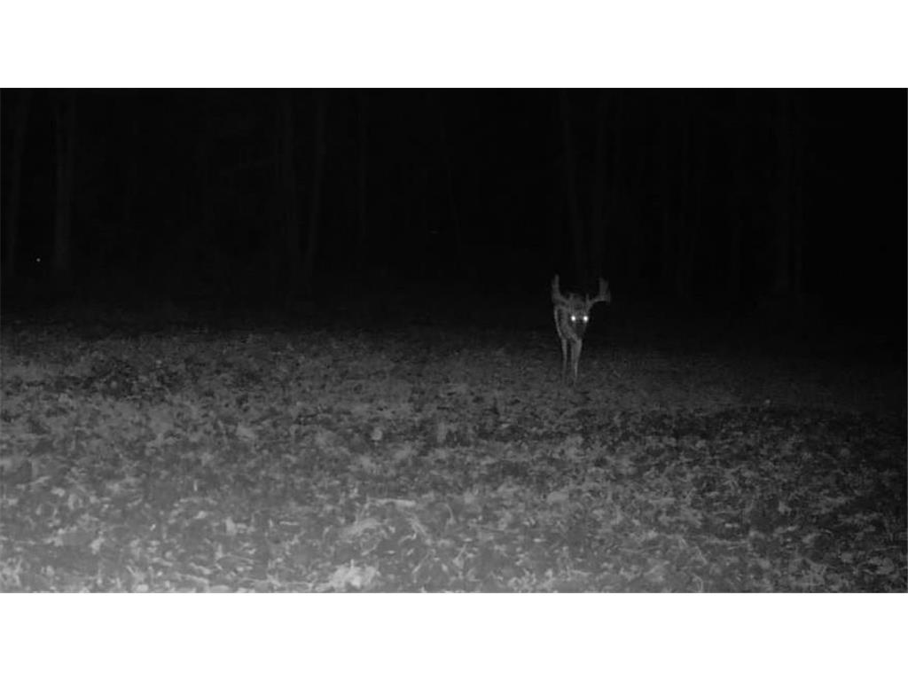 330th street 330th street Onamia MN 56359 6808065 image118