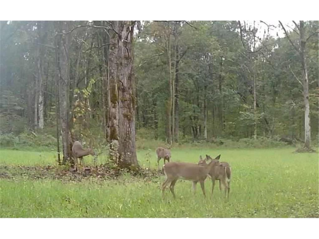 330th street 330th street Onamia MN 56359 6808065 image120