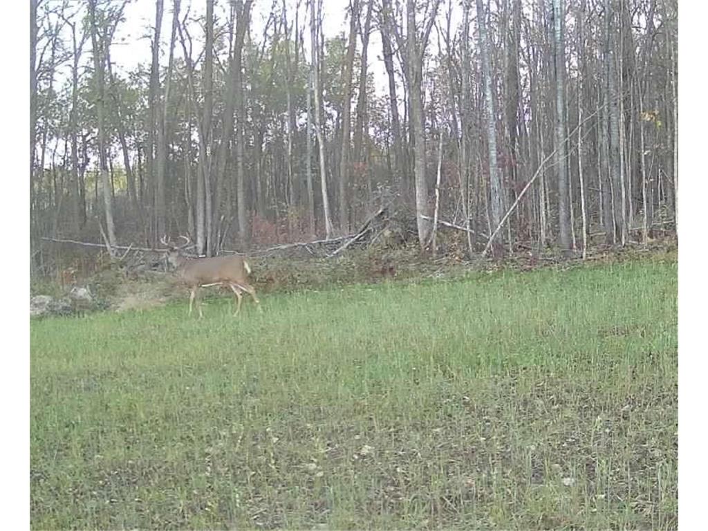 330th street 330th street Onamia MN 56359 6808065 image121