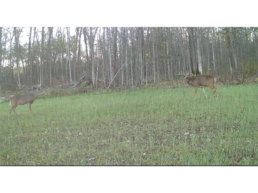 330th street 330th street Onamia MN 56359 6808065 image122