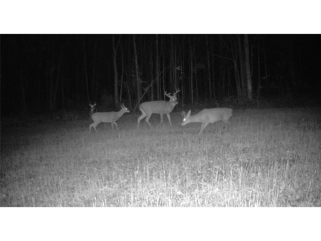 330th street 330th street Onamia MN 56359 6808065 image123