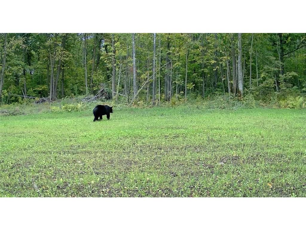 330th street 330th street Onamia MN 56359 6808065 image124