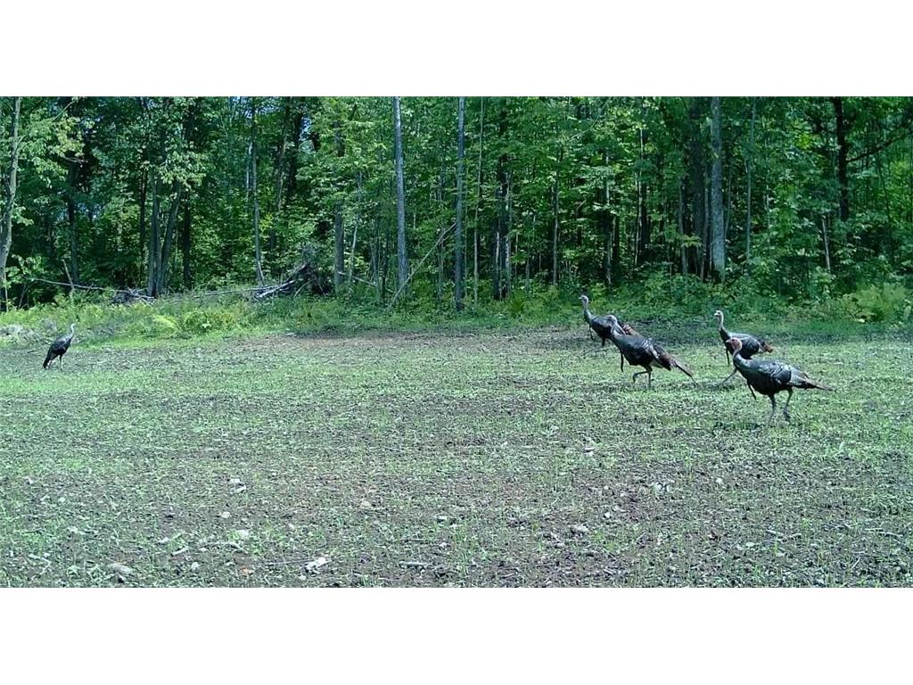 330th street 330th street Onamia MN 56359 6808065 image126