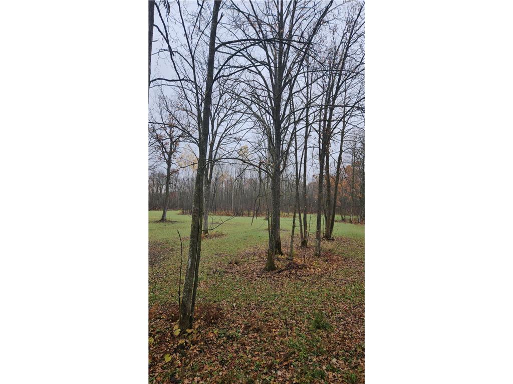 330th street 330th street Onamia MN 56359 6808065 image39