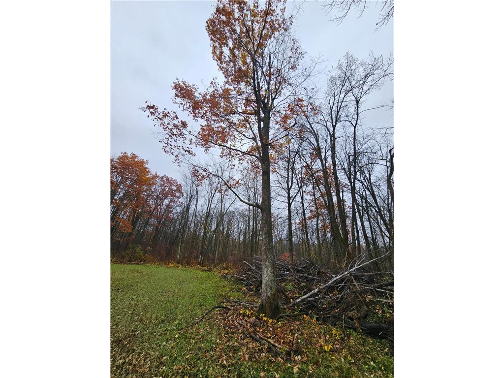 330th street 330th street Onamia MN 56359 6808065 image47