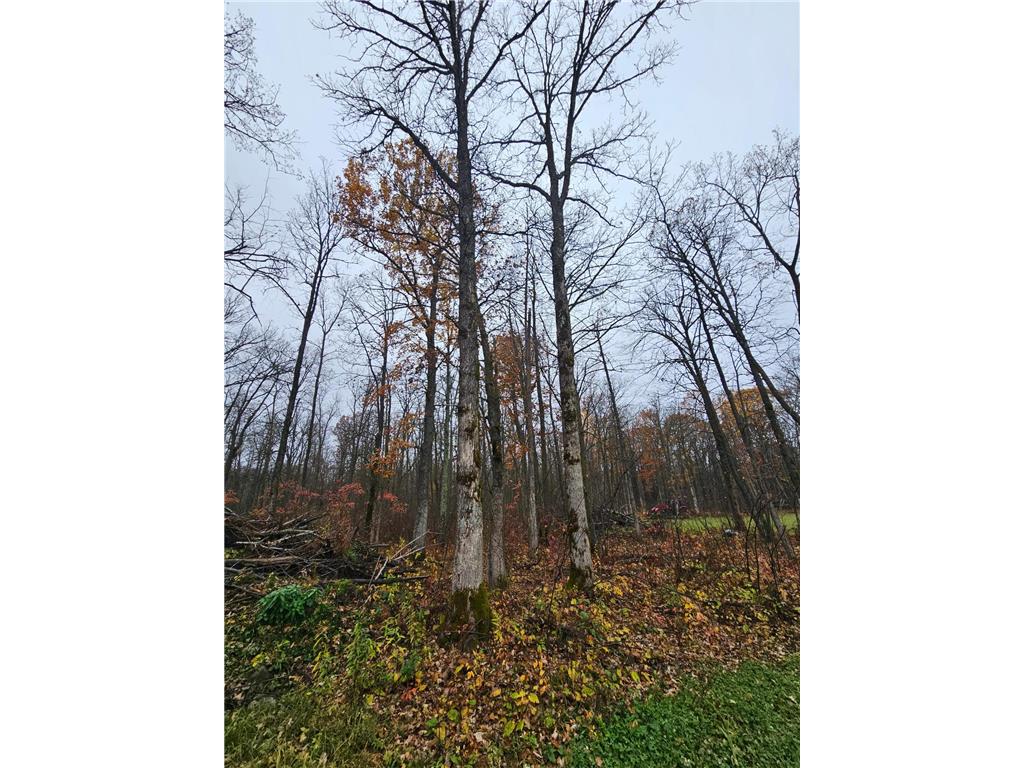 330th street 330th street Onamia MN 56359 6808065 image48