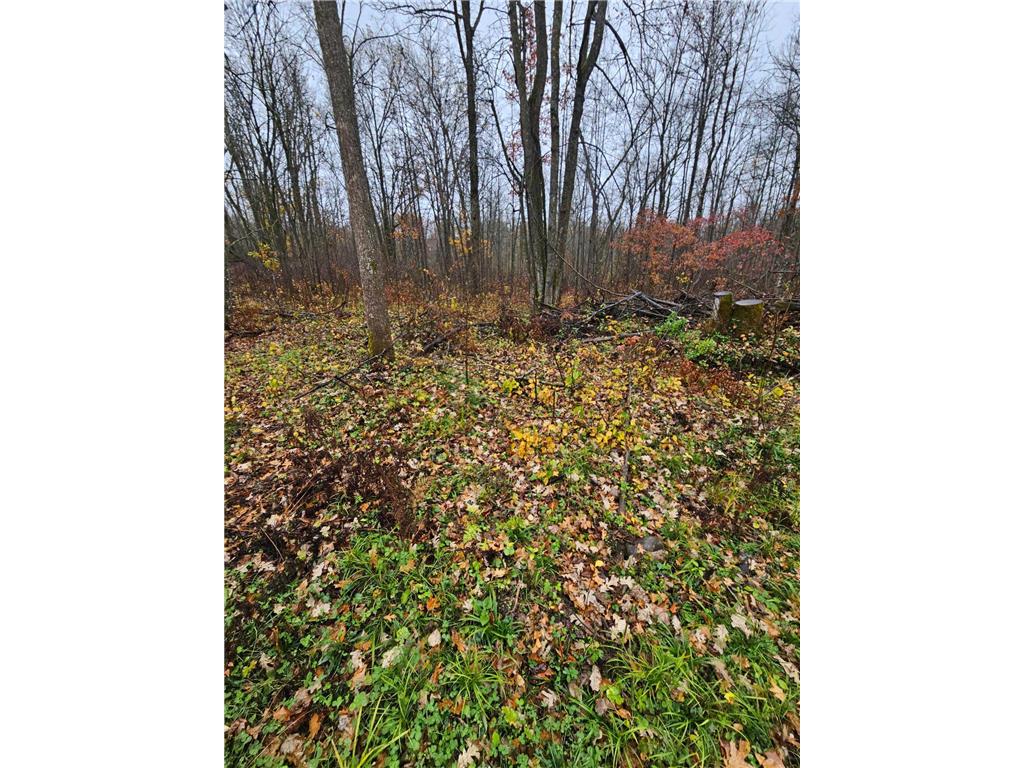 330th street 330th street Onamia MN 56359 6808065 image49