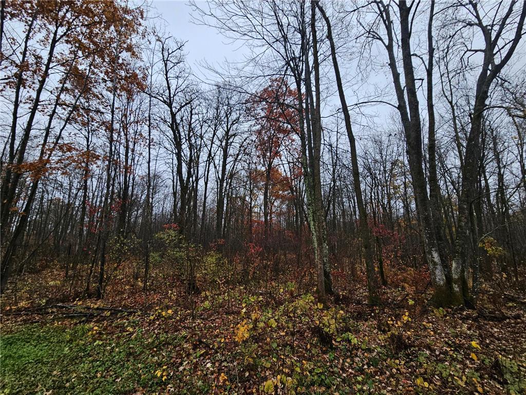 330th street 330th street Onamia MN 56359 6808065 image50