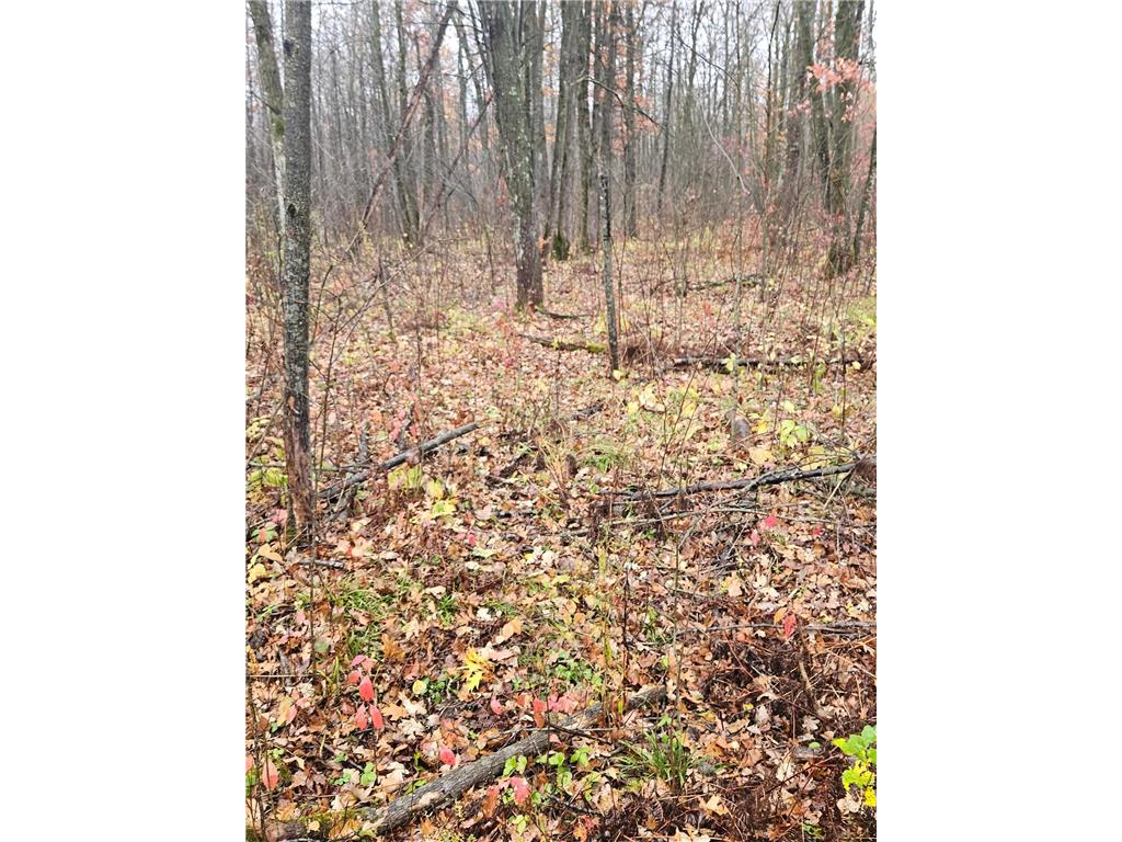 330th street 330th street Onamia MN 56359 6808065 image54