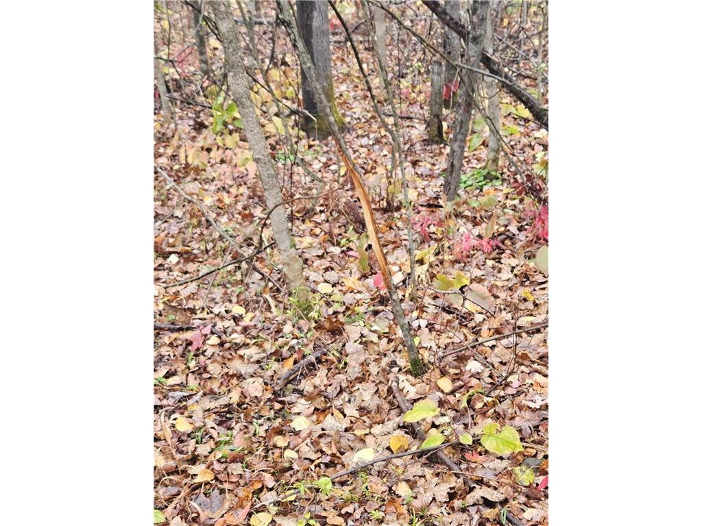 330th street 330th street Onamia MN 56359 6808065 image56