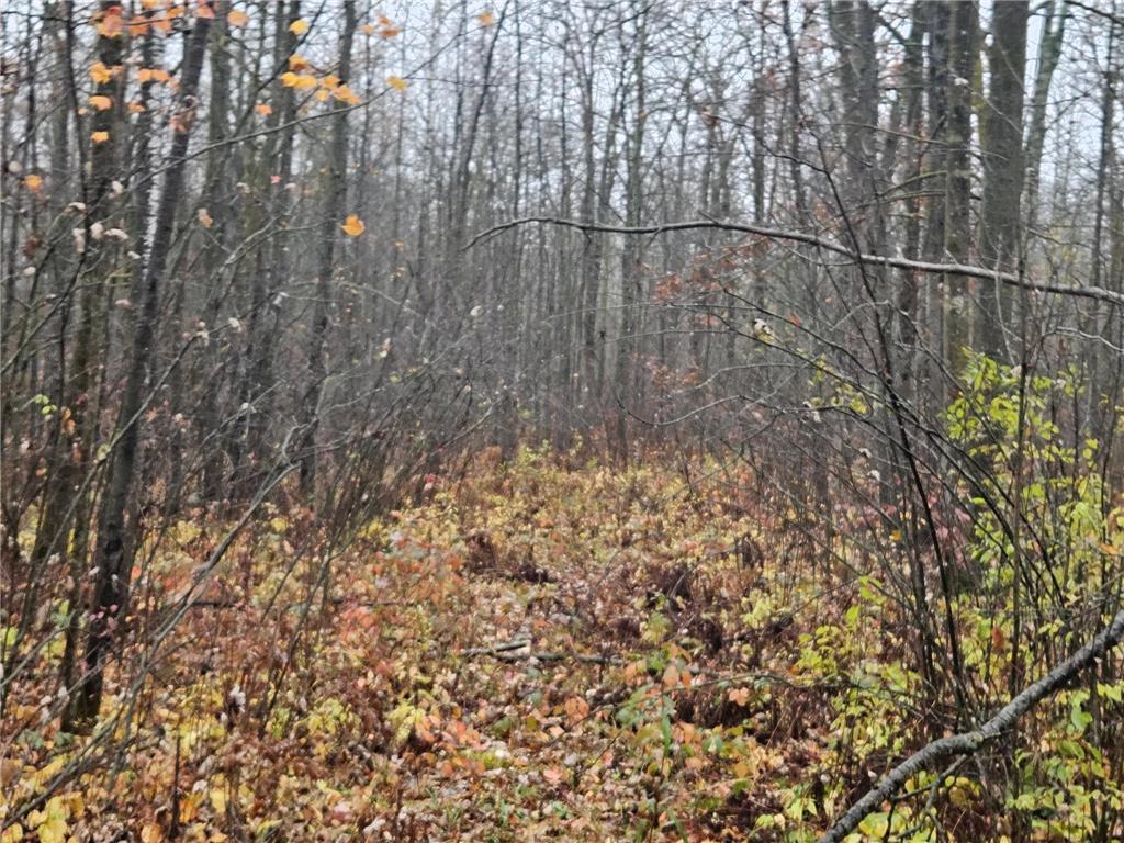 330th street 330th street Onamia MN 56359 6808065 image59