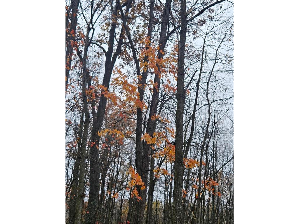 330th street 330th street Onamia MN 56359 6808065 image60