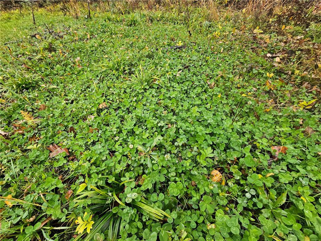 330th street 330th street Onamia MN 56359 6808065 image64