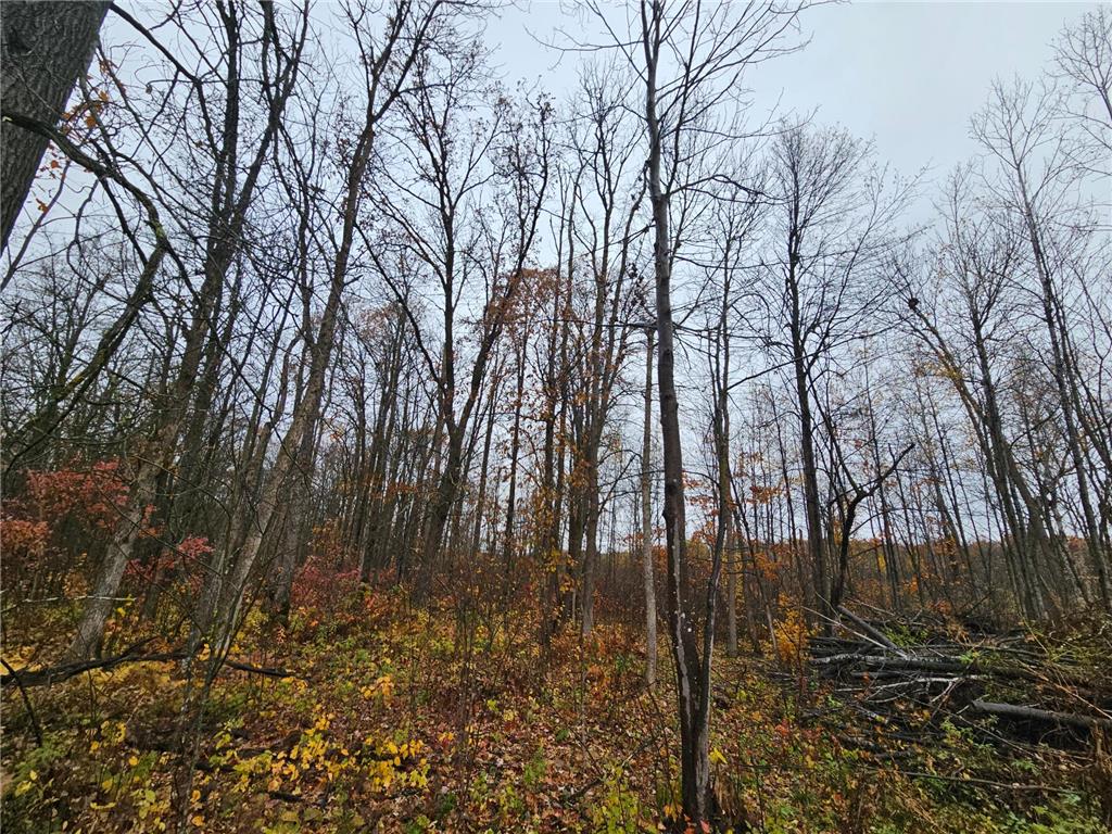 330th street 330th street Onamia MN 56359 6808065 image68