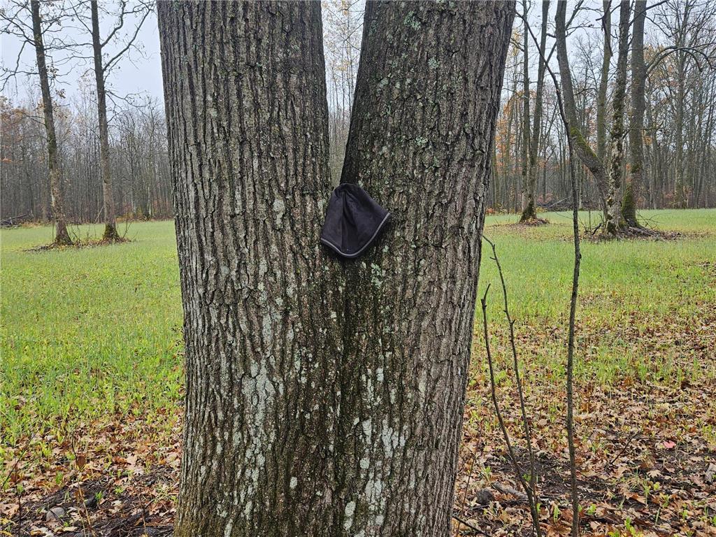 330th street 330th street Onamia MN 56359 6808065 image70