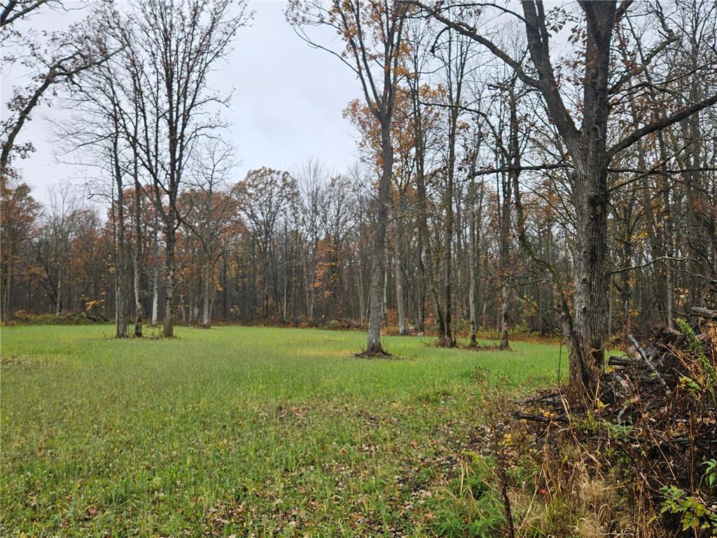 330th street 330th street Onamia MN 56359 6808065 image71