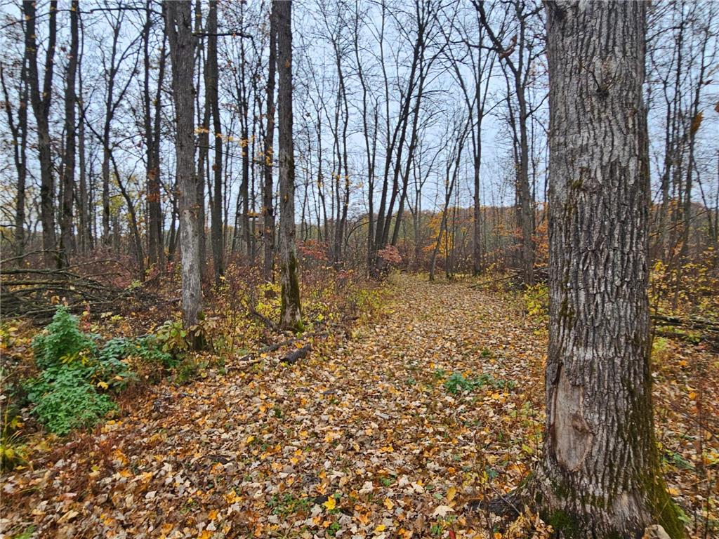 330th street 330th street Onamia MN 56359 6808065 image77