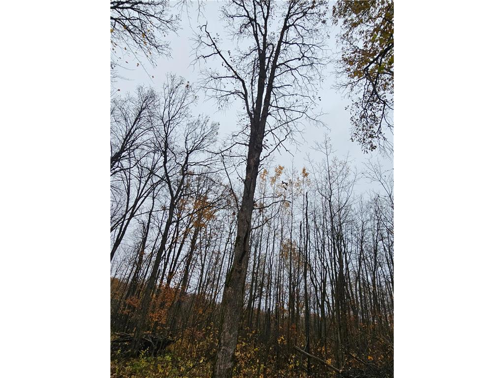 330th street 330th street Onamia MN 56359 6808065 image78