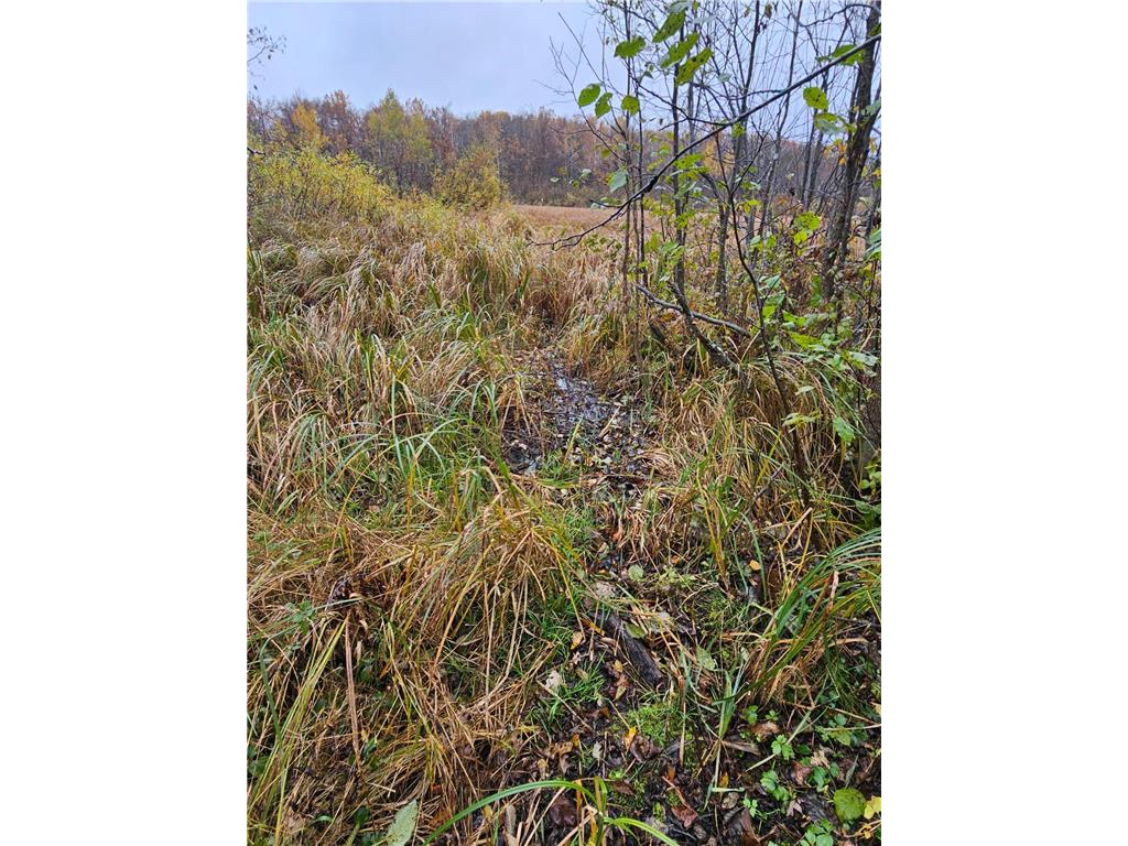 330th street 330th street Onamia MN 56359 6808065 image82