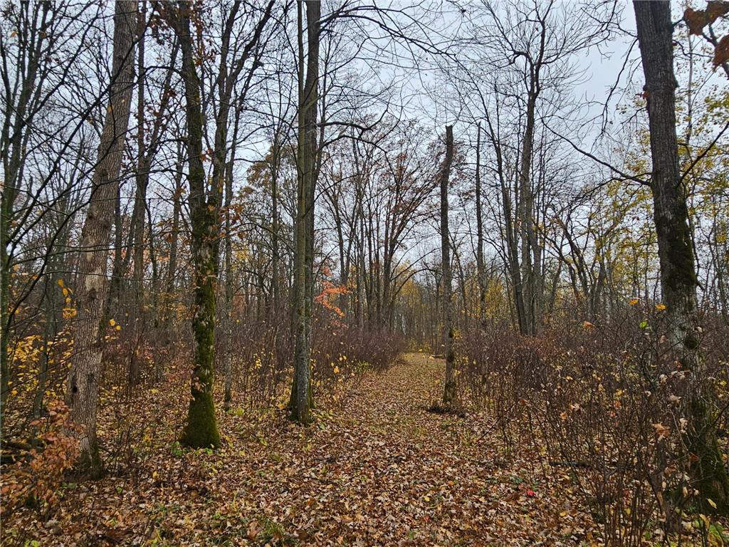 330th street 330th street Onamia MN 56359 6808065 image83