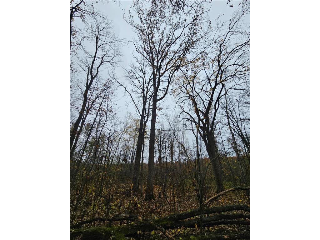 330th street 330th street Onamia MN 56359 6808065 image86