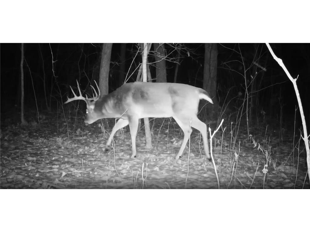 330th street 330th street Onamia MN 56359 6808065 image91