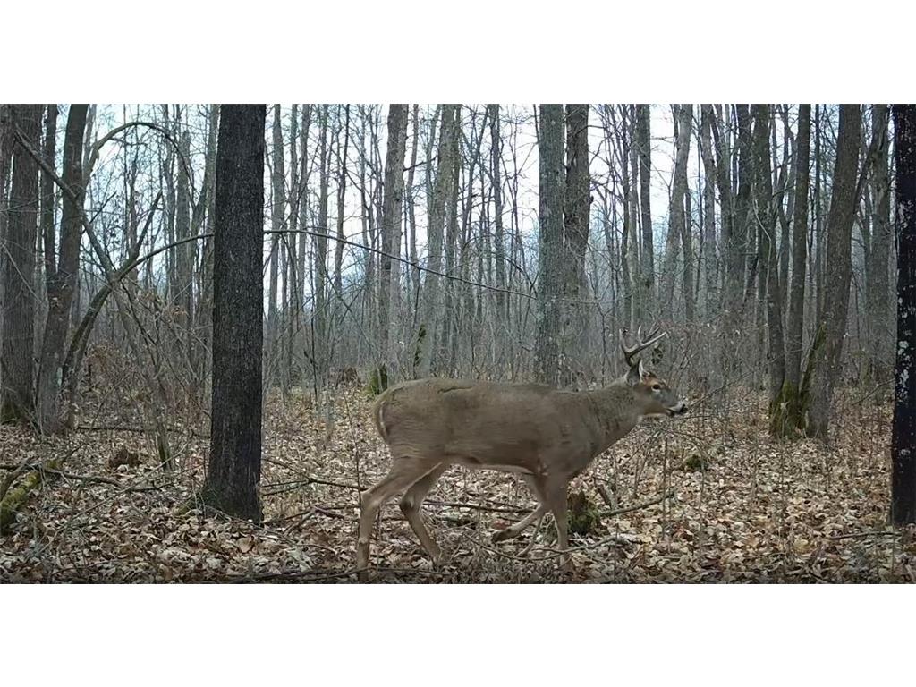 330th street 330th street Onamia MN 56359 6808065 image92