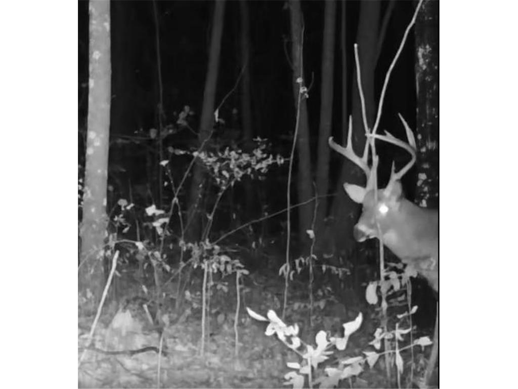 330th street 330th street Onamia MN 56359 6808065 image94