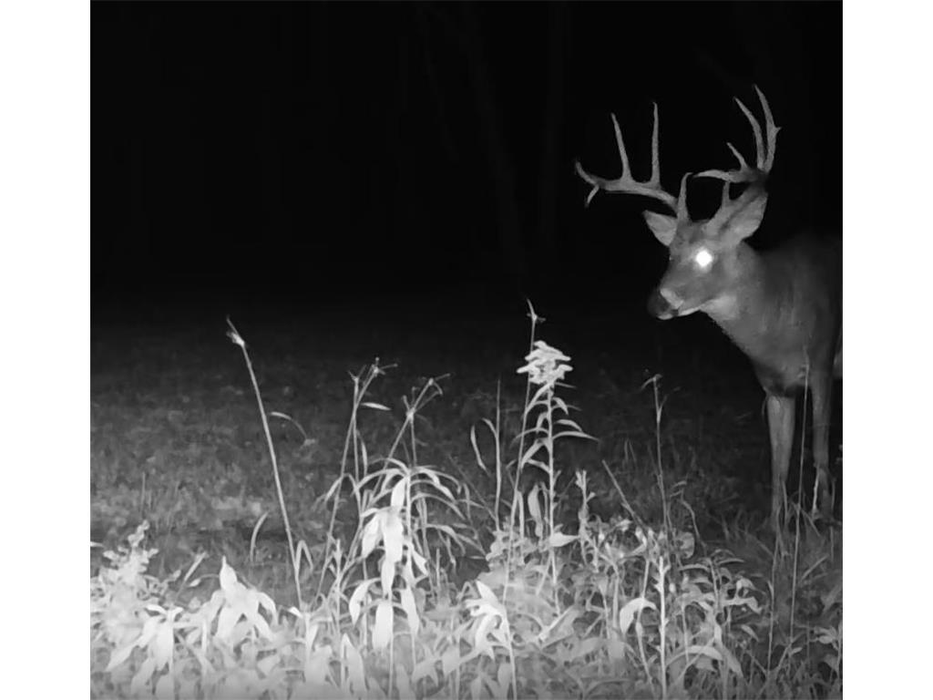 330th street 330th street Onamia MN 56359 6808065 image95