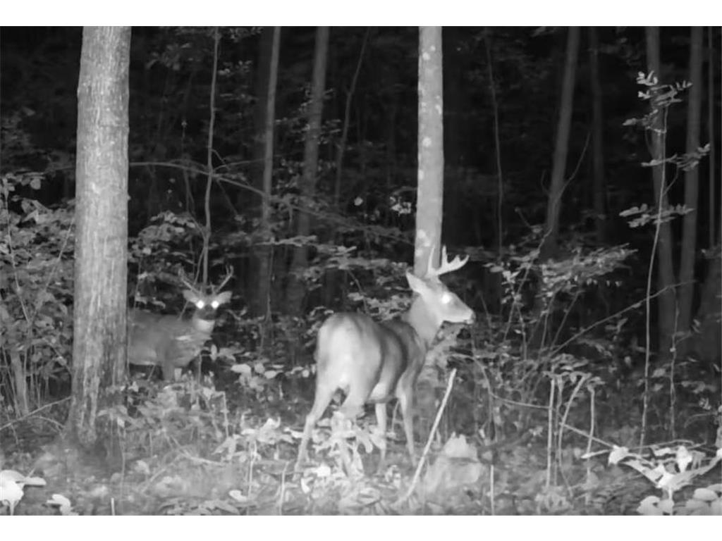 330th street 330th street Onamia MN 56359 6808065 image97