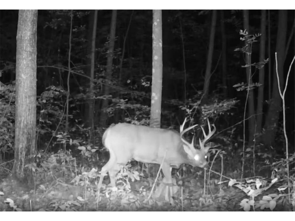 330th street 330th street Onamia MN 56359 6808065 image98