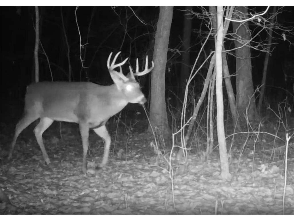 330th street 330th street Onamia MN 56359 6808065 image99