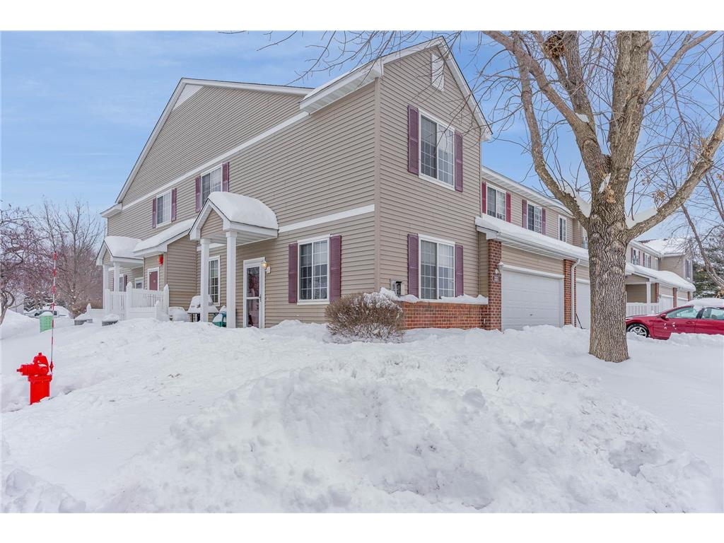 331 Frederick Circle 705, Hastings, MN, 55033 MLS 6330020 Edina