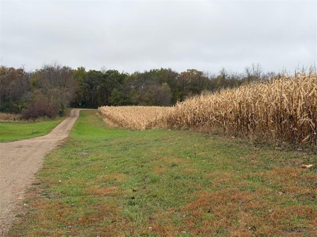 33100 Saint Olaf Way Battle Lake MN 56515 - Long Lake 6804700 image31