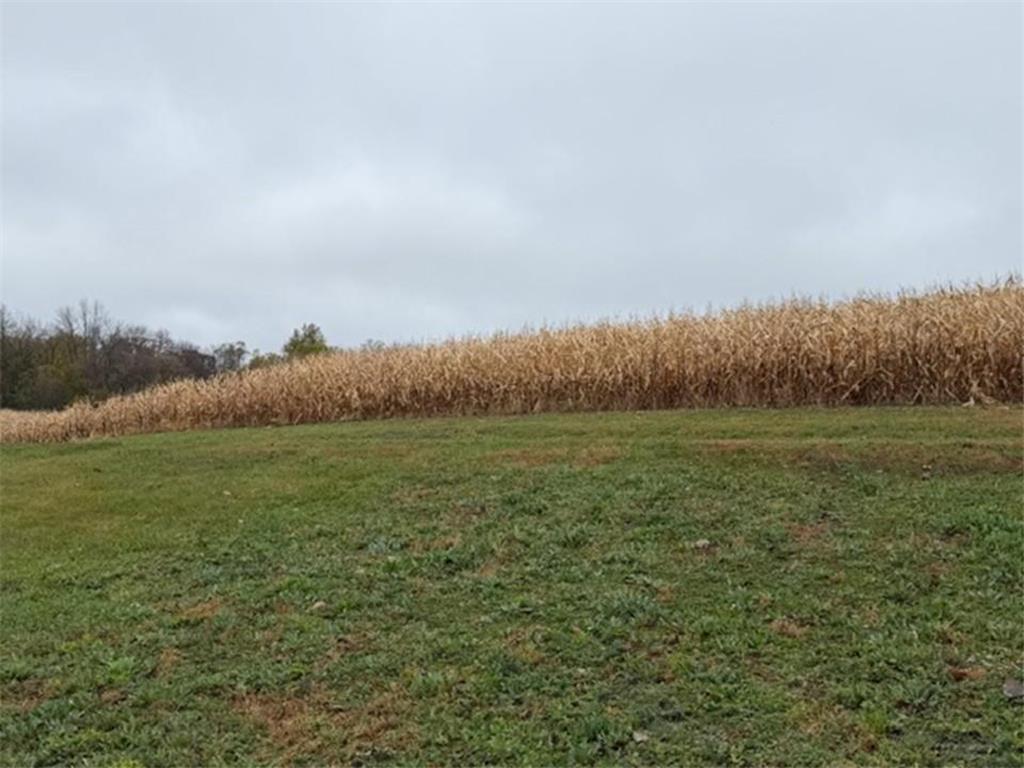 33100 Saint Olaf Way Battle Lake MN 56515 - Long Lake 6804700 image32