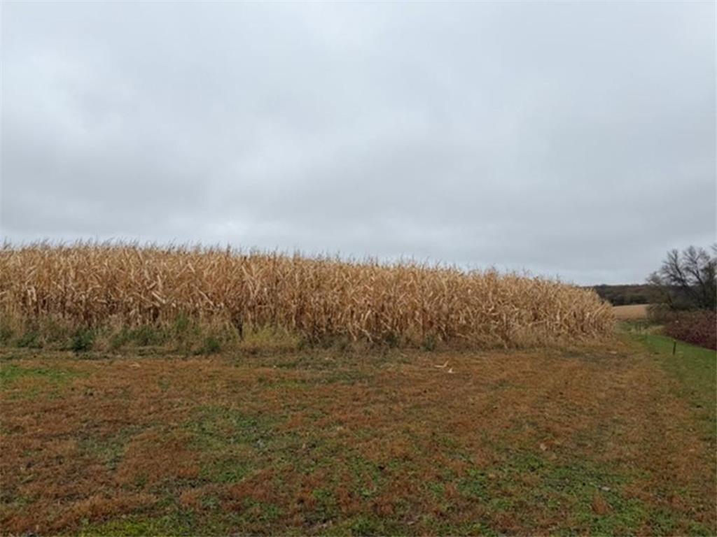 33100 Saint Olaf Way Battle Lake MN 56515 - Long Lake 6804700 image33