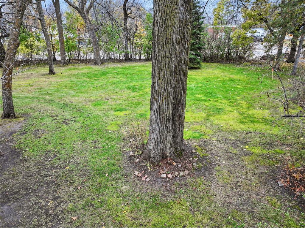 3311 N Nokomis NE Alexandria MN 56308 - Le Homme Dieu 6815442 image11