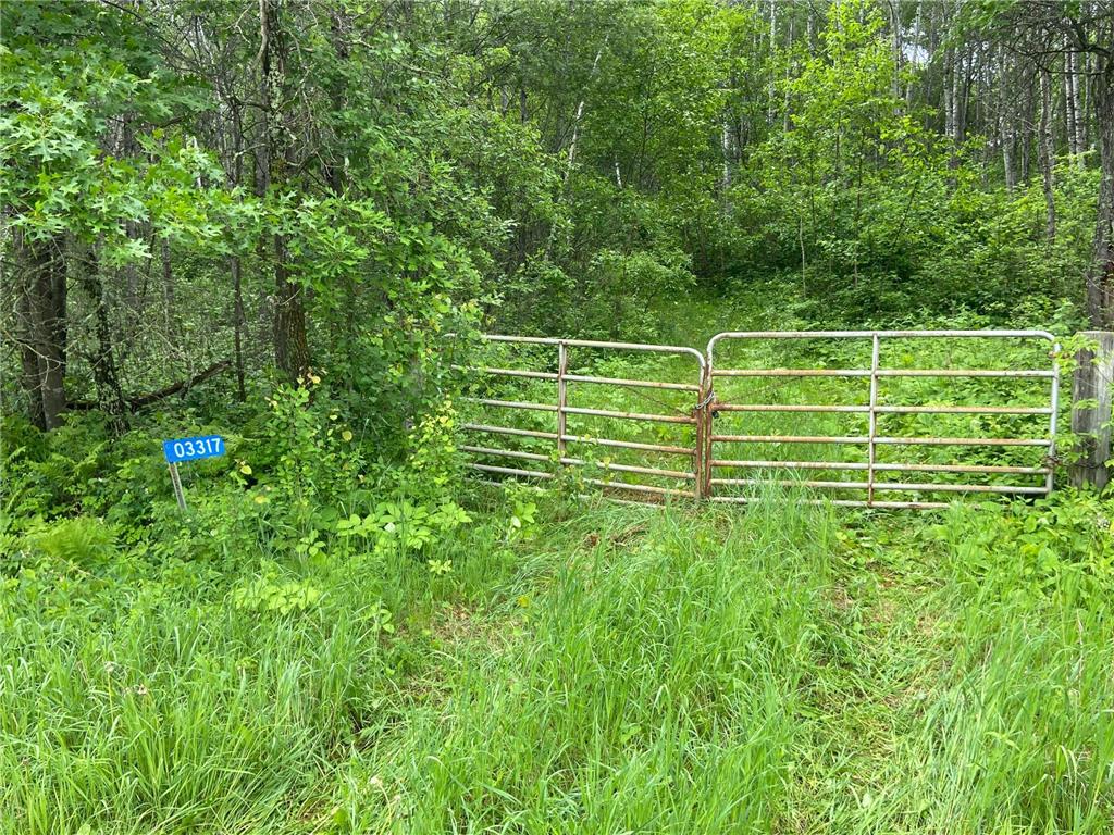 3317 4th Street SW Backus MN 56435 6382833 image1