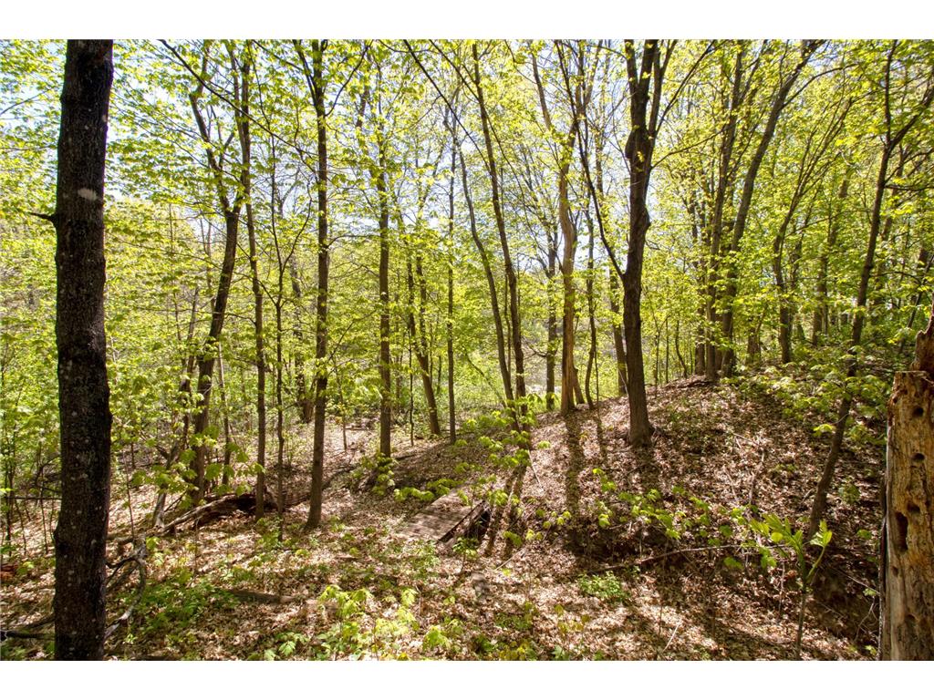 33175 N Lakes Trail Chisago Lake Twp MN 55045 7078772 image16