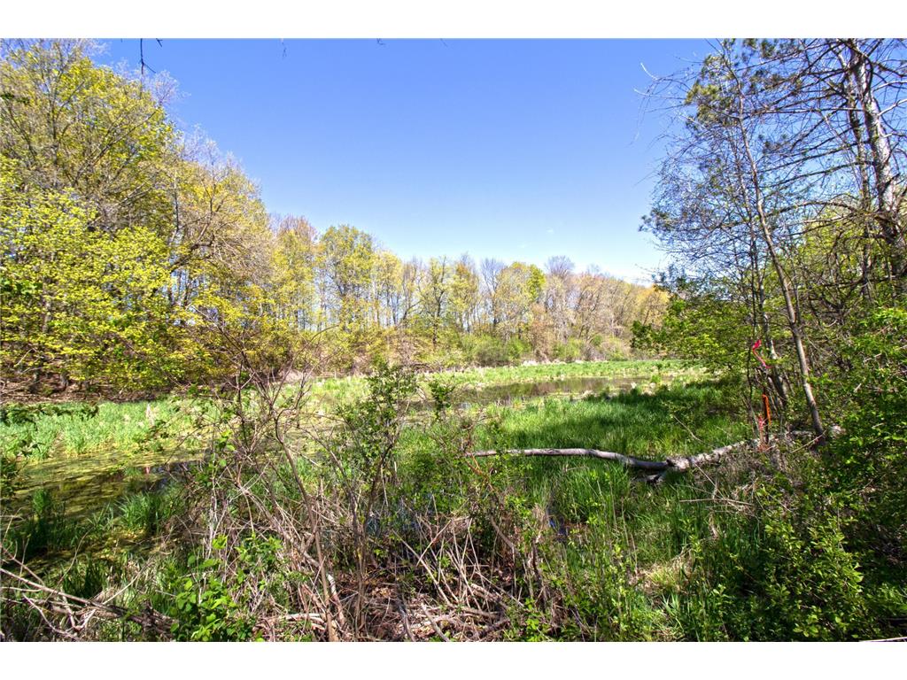 33175 N Lakes Trail Chisago Lake Twp MN 55045 7078772 image17