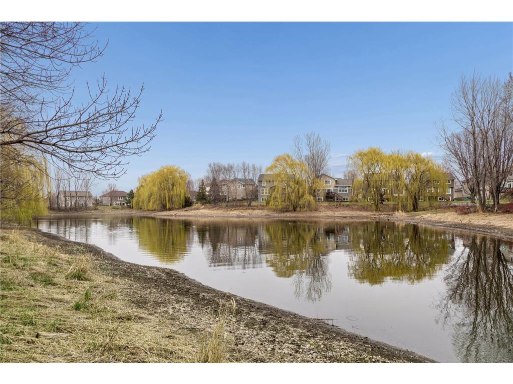 3319 Ridgestone Way Woodbury MN 55129 7034773 image64