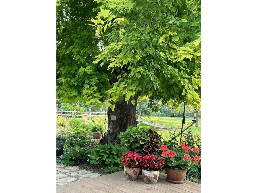 33198 540th Avenue Synnes Twp MN 56207 7032882 image70