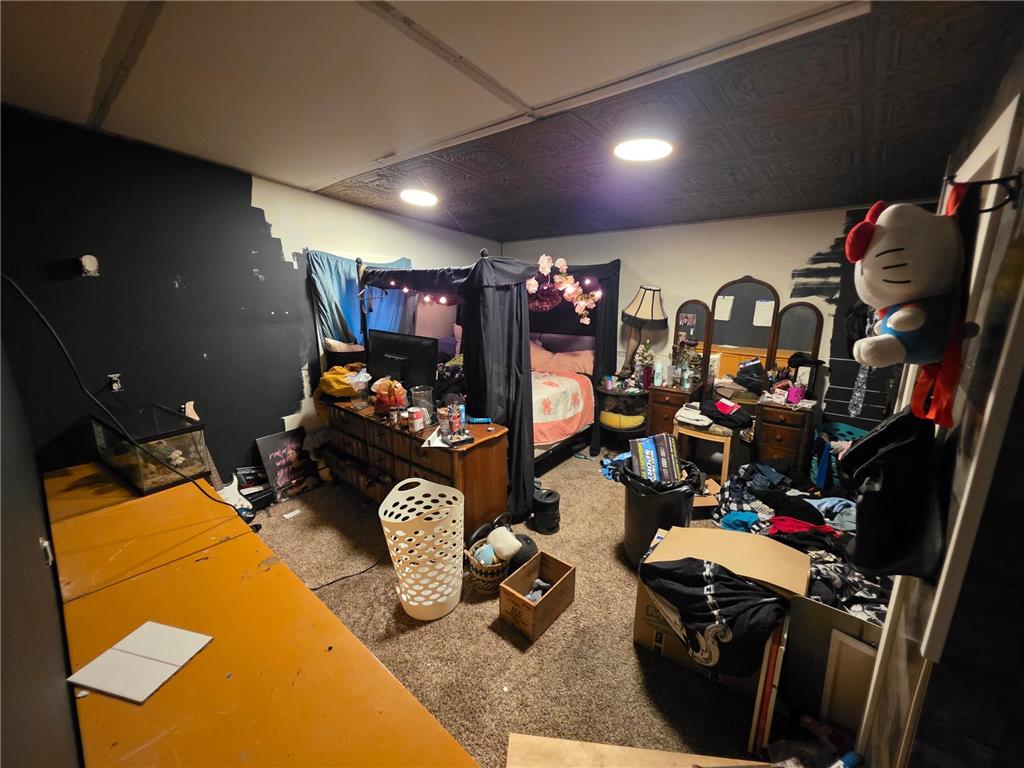 332 3rd Street Campbell MN 56522 6818542 image14