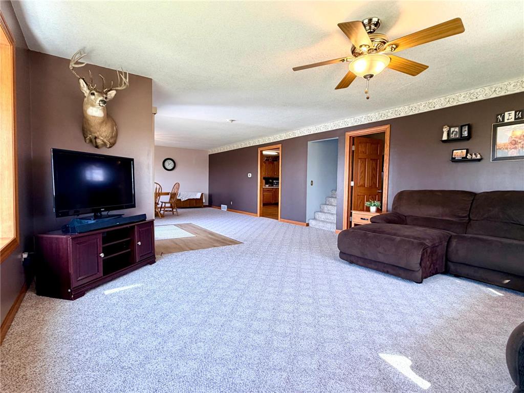 33210 810th Street Ewington Twp MN 56119 7044783 image20