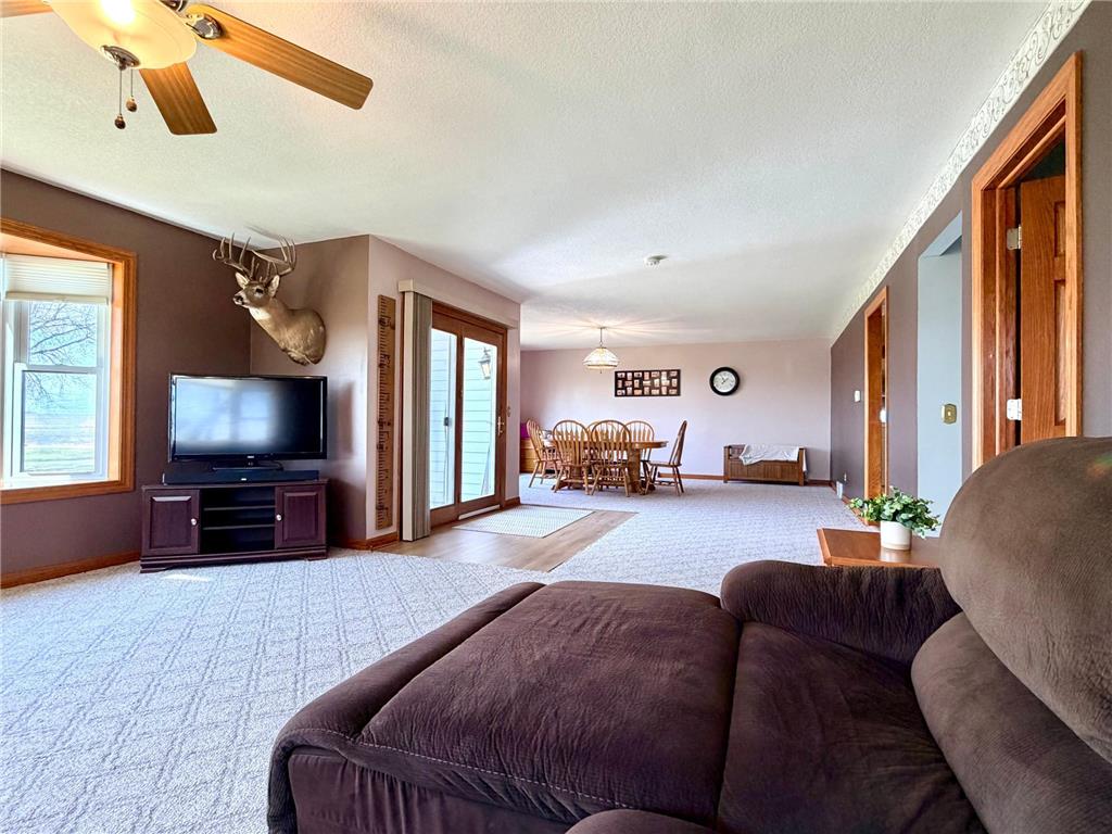 33210 810th Street Ewington Twp MN 56119 7044783 image21