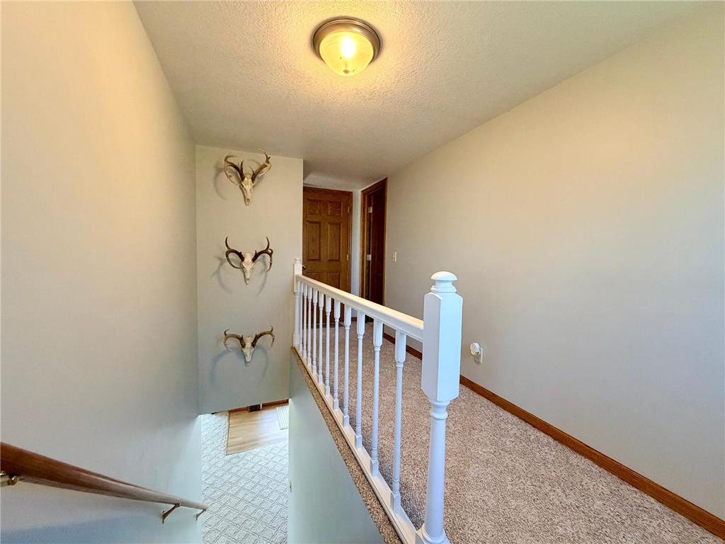 33210 810th Street Ewington Twp MN 56119 7044783 image29