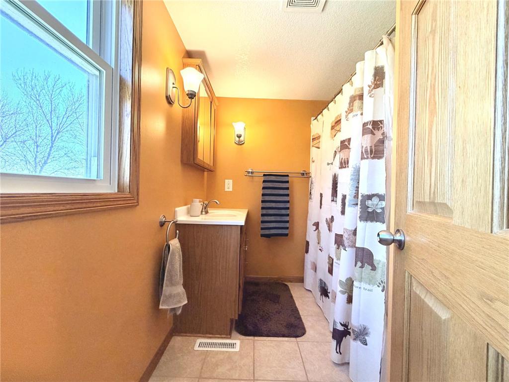 33210 810th Street Ewington Twp MN 56119 7044783 image34