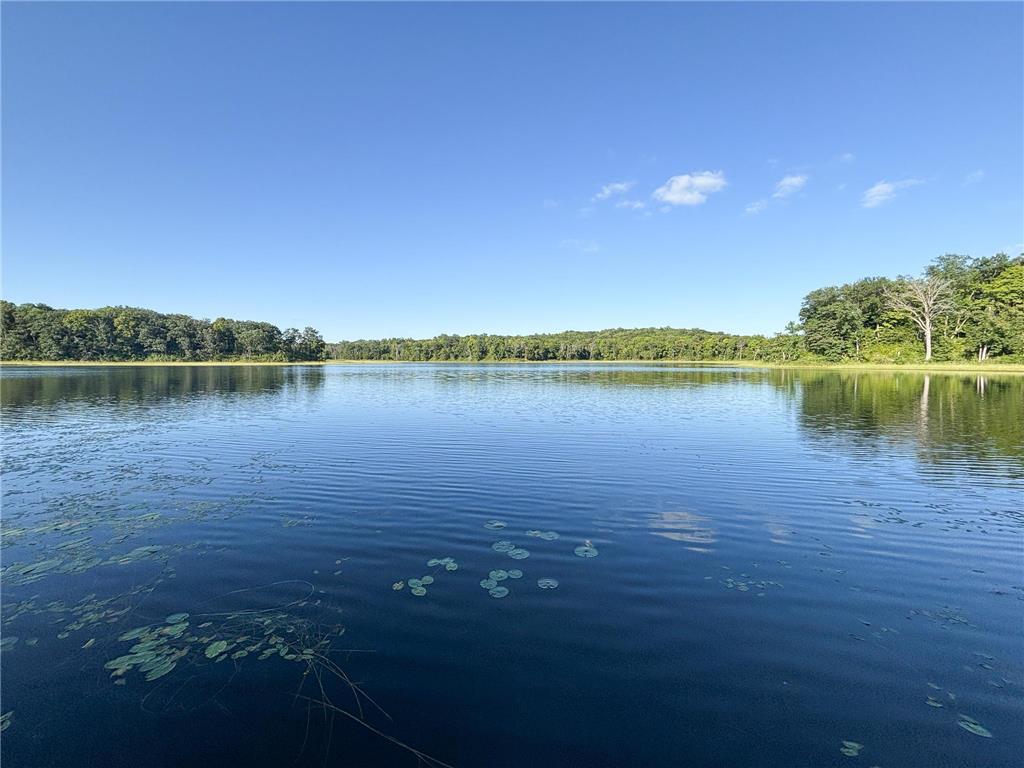 33232 260th Avenue Erhard MN 56534 6775738 image2